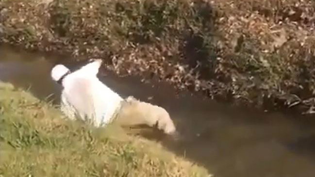 Golfer takes a SPLASH after attempting jump over water